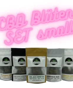 Blüten 5er Bundle Small