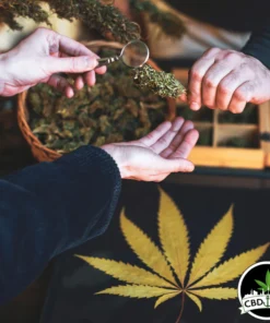 Mitgliedschaft Nature 040