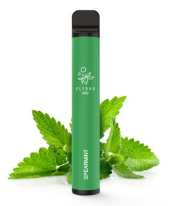 Elfbar 600 - Einweg E-Zigarette - Spearmint 2% Nikotin