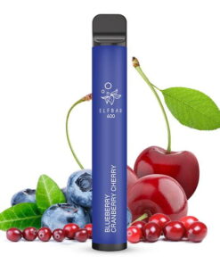 Elfbar 600 - Einweg E-Zigarette - Blueberry Cranberry Cherry 2% Nikotin