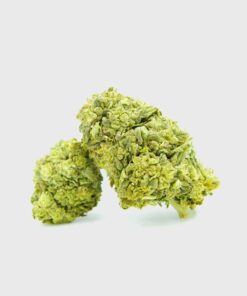 Frosted Cookies 55%  HHC Sorte