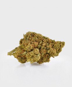 Strawberry Ice 40% 10-OH-HHC